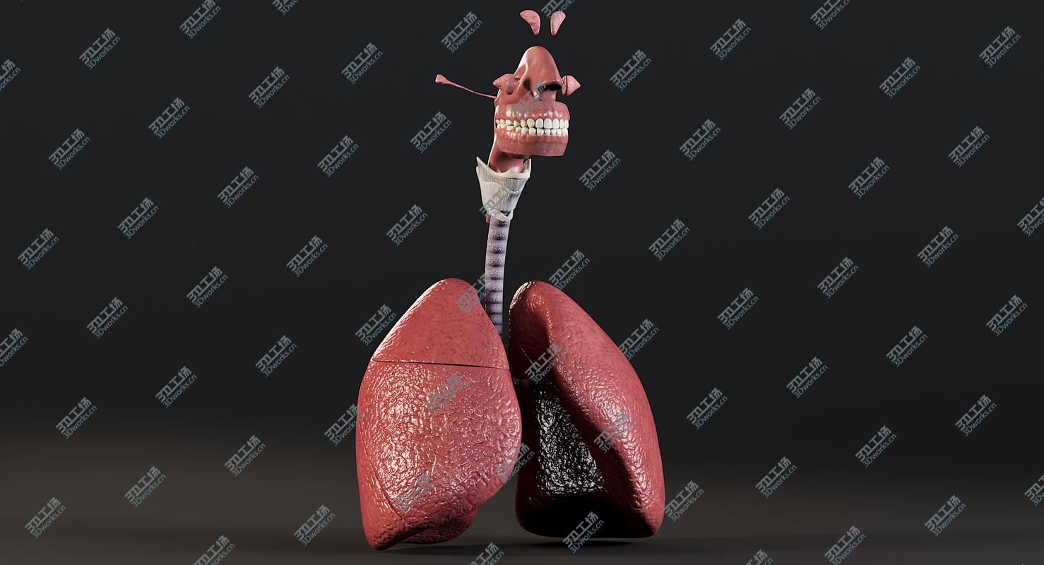 images/goods_img/2021040161/3D model Man Respiratory System/2.jpg